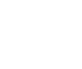 BLUE RESISTANCE